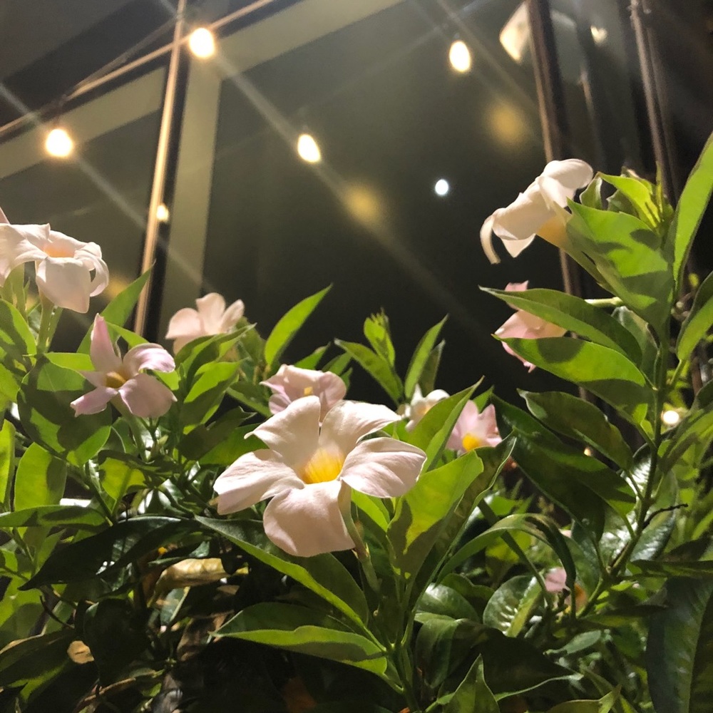 Meet your Posher, Malinda